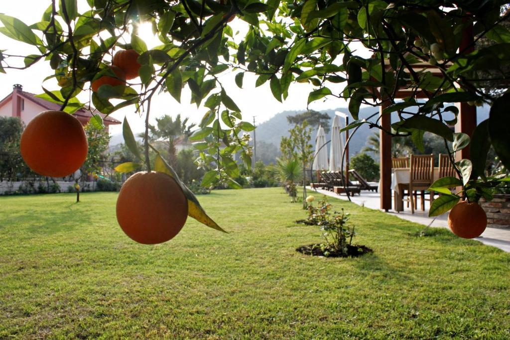 Gocek Arion Hotel Exterior photo